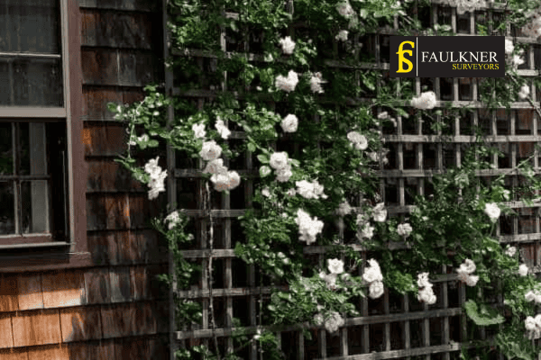 Can I put trellis on my Neighbours garage wall? 1 Can you add a trellis to your neighbours garage wall Luton ? Party Wall Surveyors Luton