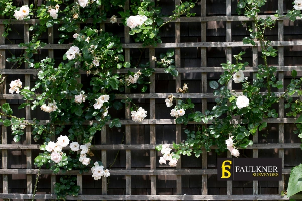 Can I put trellis on my Neighbours garage wall? 2 Do you want to adapt your neighbours garage door and add a trellis Luton? Talk to Faulkner Surveyor Luton